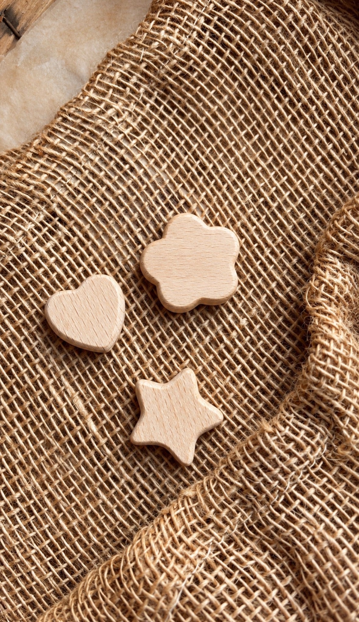 Modèle motif