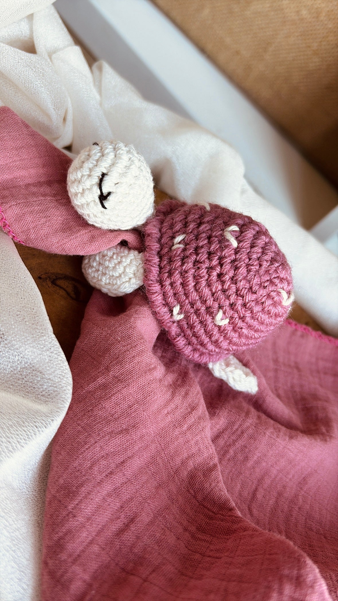 Les tortues au crochet en édition limité