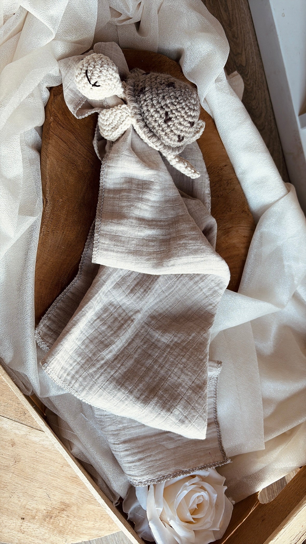 Les tortues au crochet en édition limité