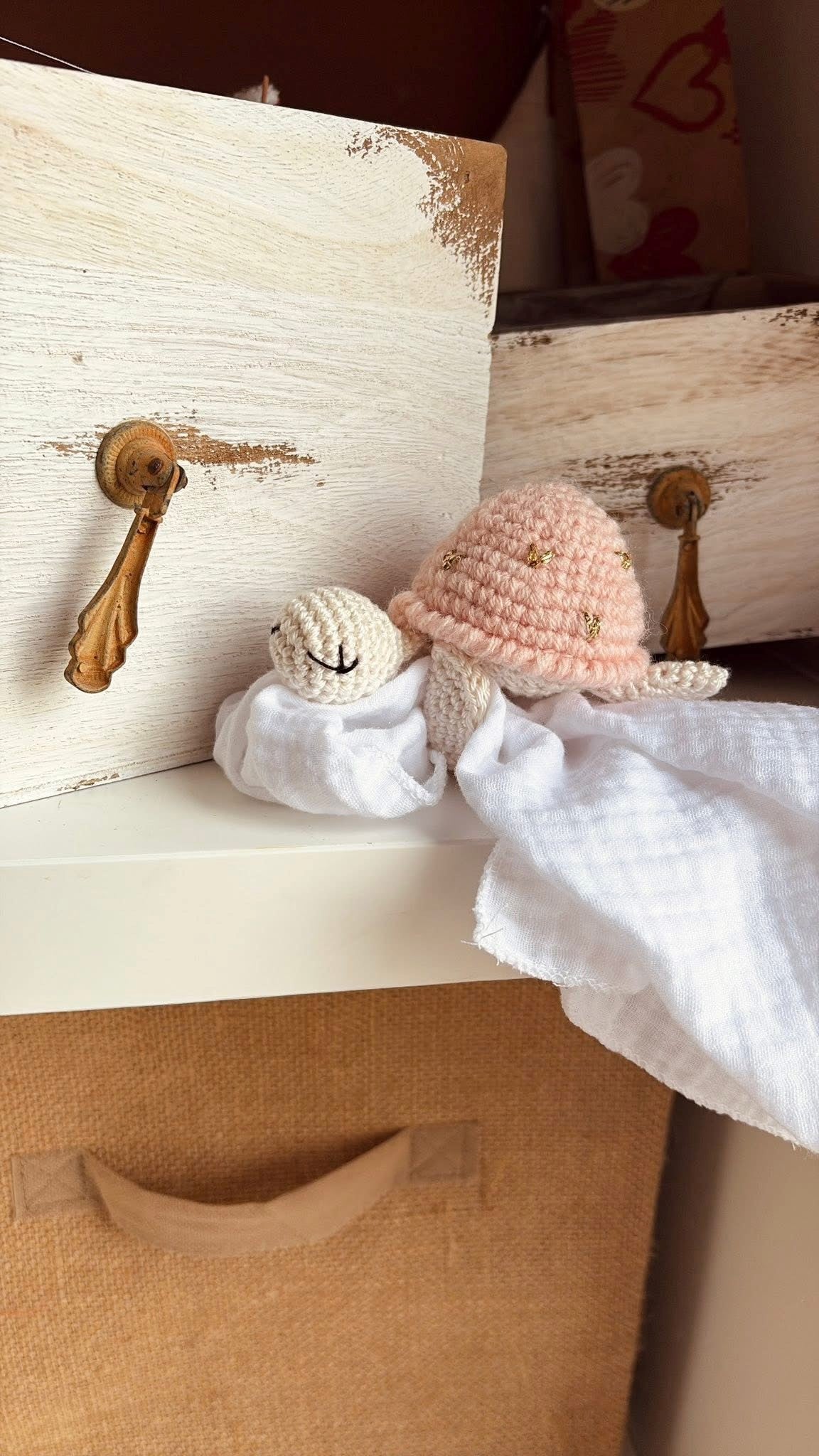 Les tortues au crochet en édition limité